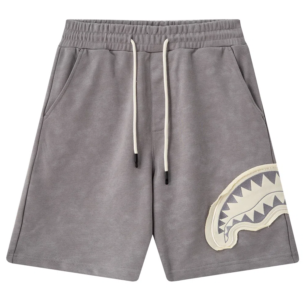 Sprayground Shorts
