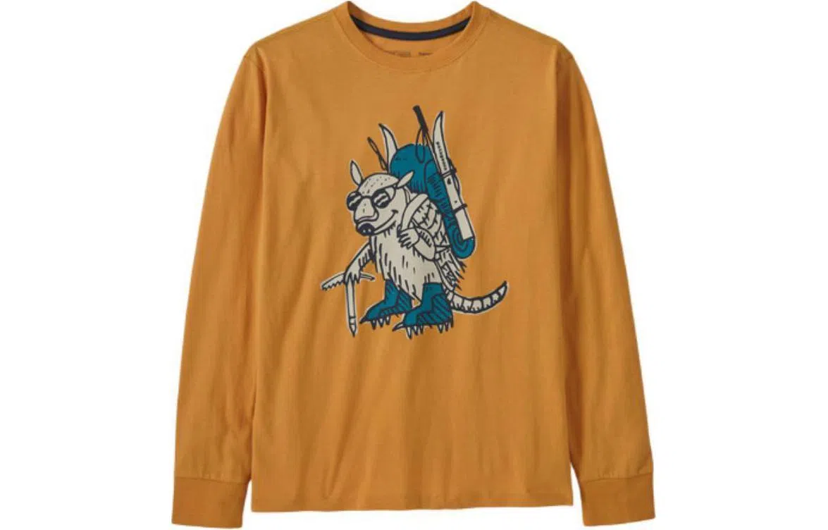 patagonia T