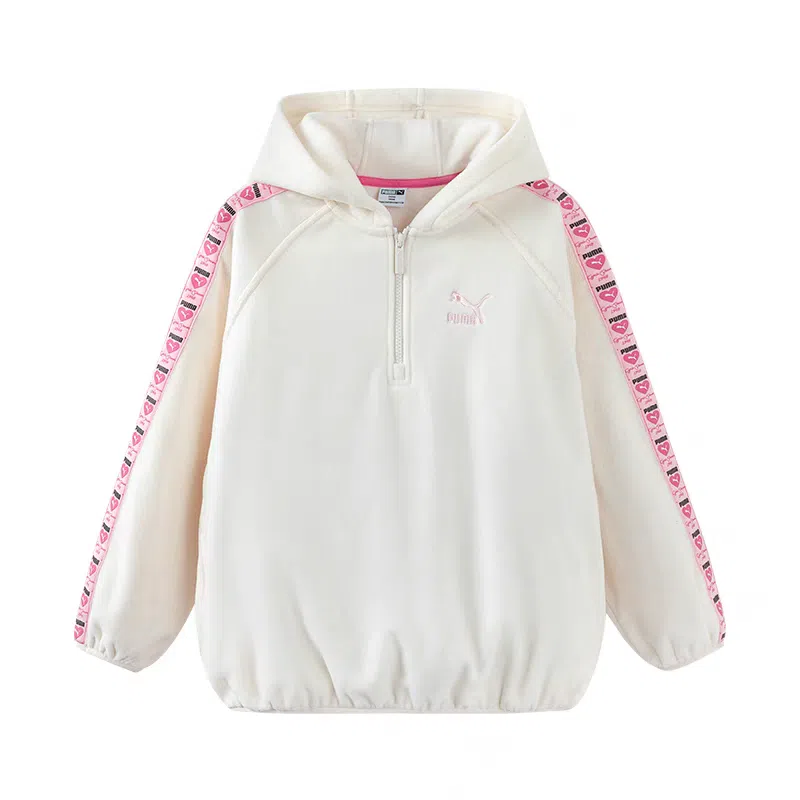 PUMA Sportstylehoodie POLAR FLEECE 10501