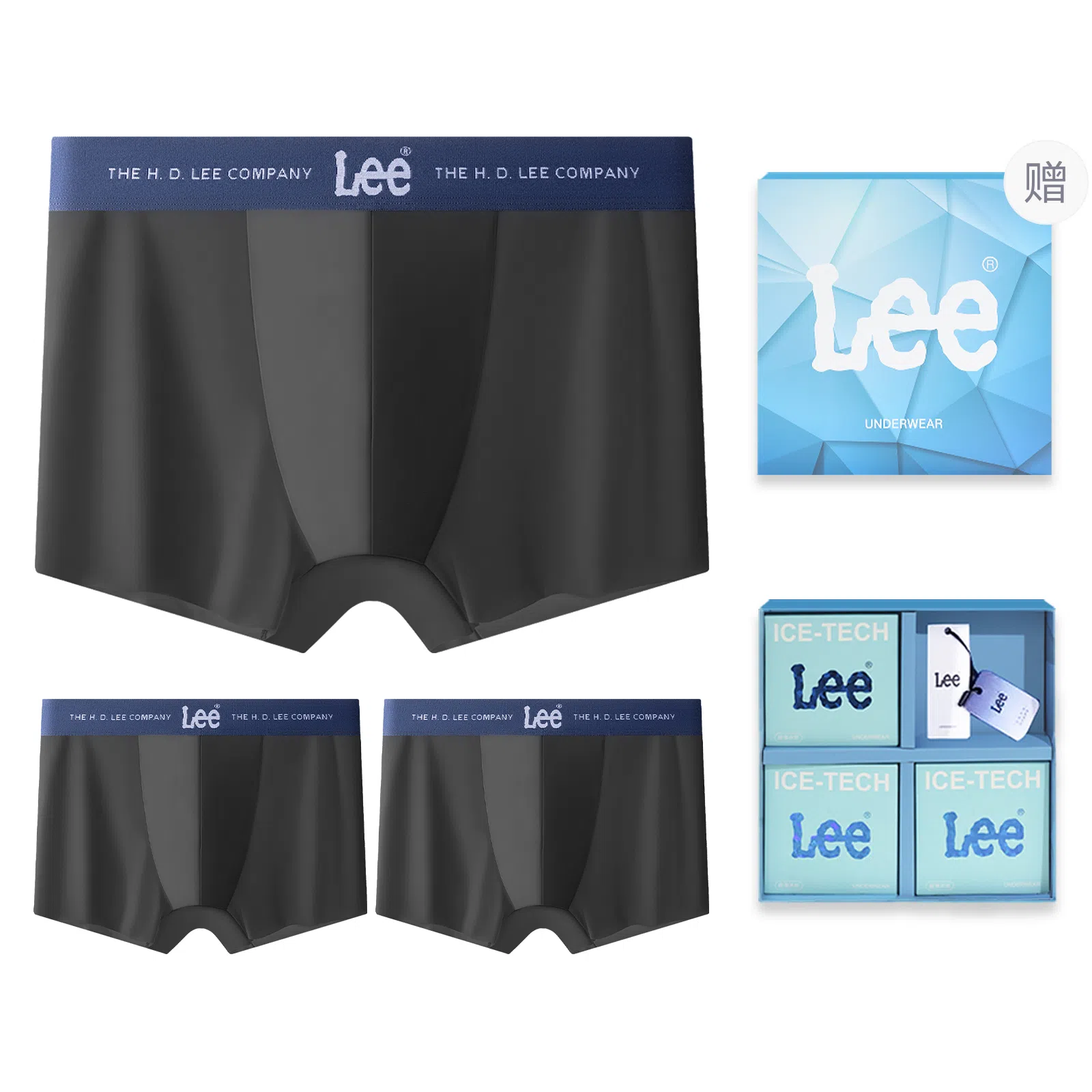 Lee 3