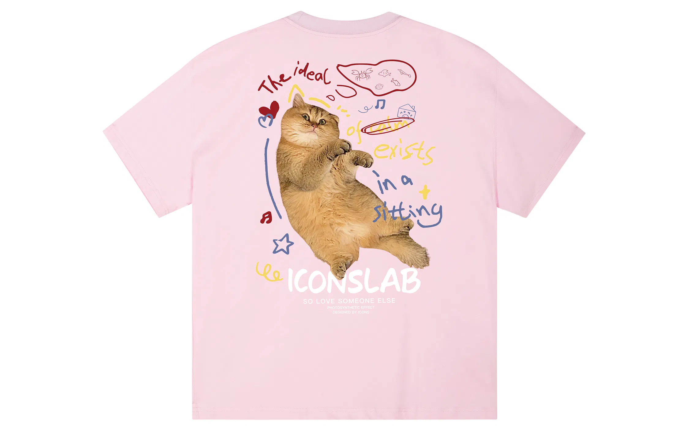 ICONS Lab T