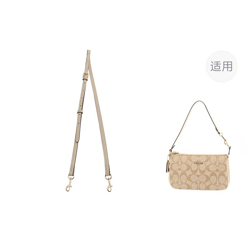jingxi coach