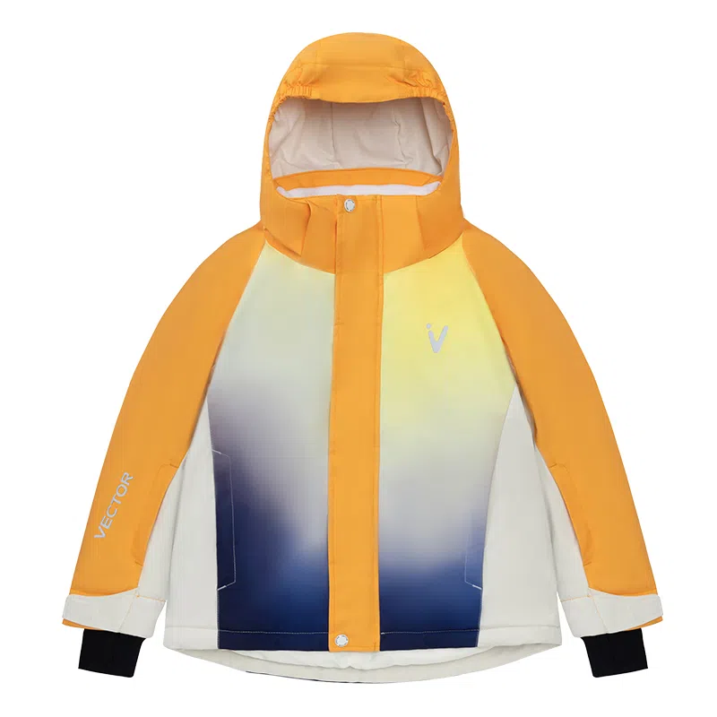 VECTOR Snow universe