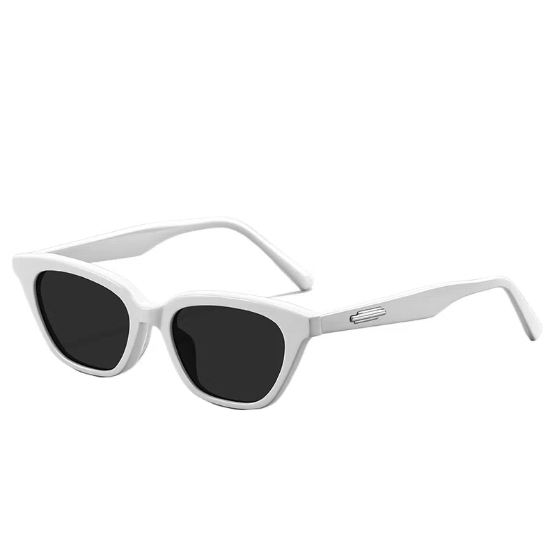 Leipailong Sunglasses