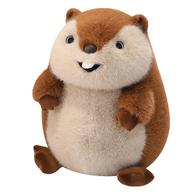 MORTEN SOLUM 12cm35cm