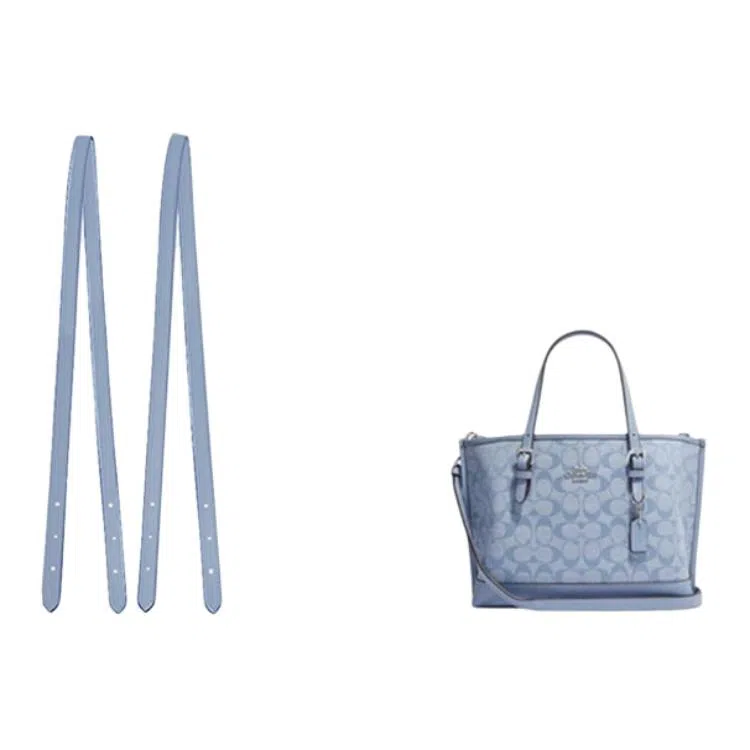 jingxi coachmollie25