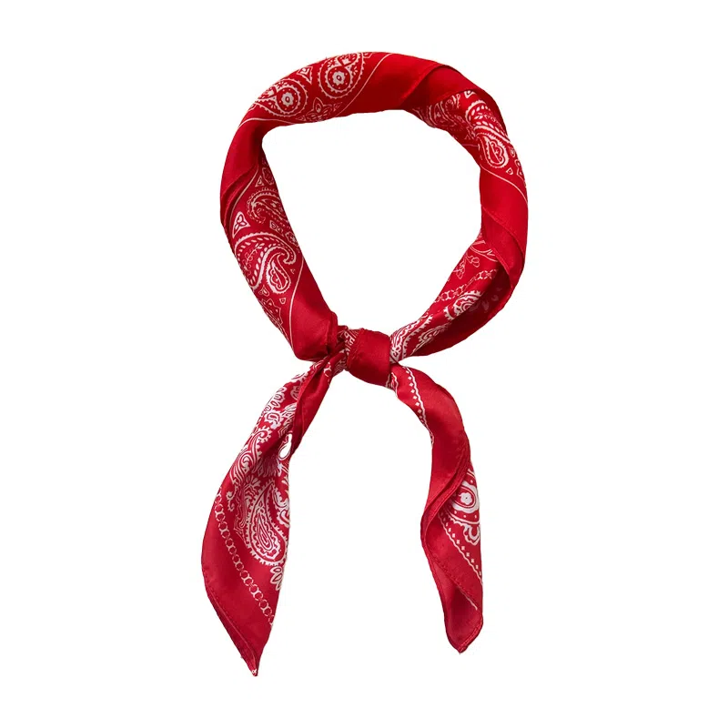 杨同学 高级感潮 丝巾 女款