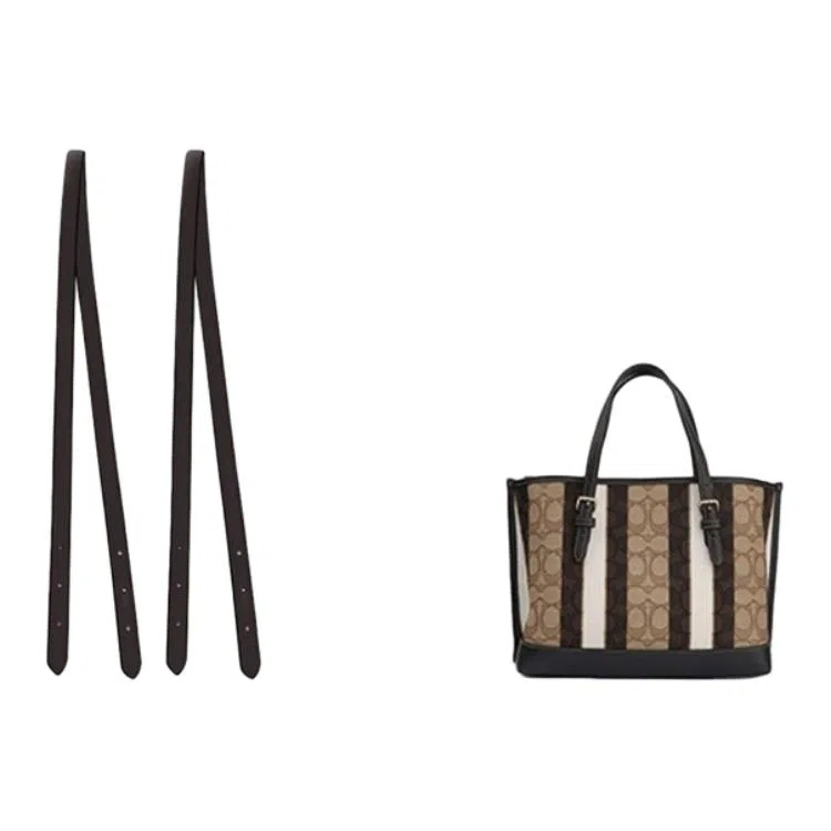 jingxi coachmollie25