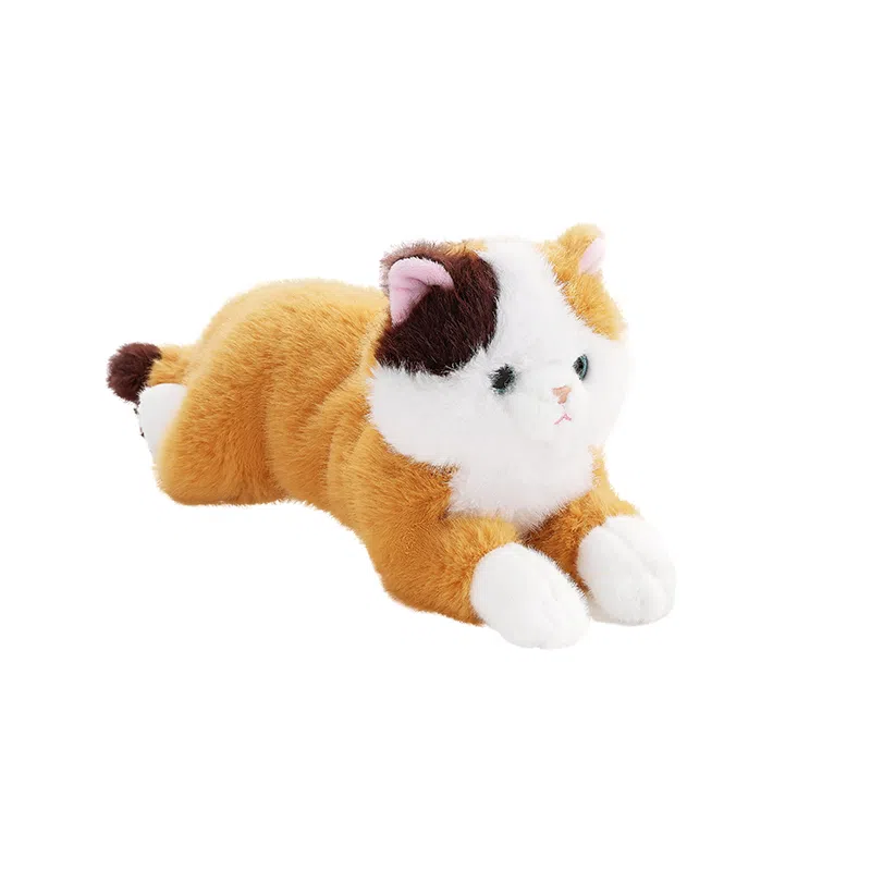 The Green Party 15cm23cm