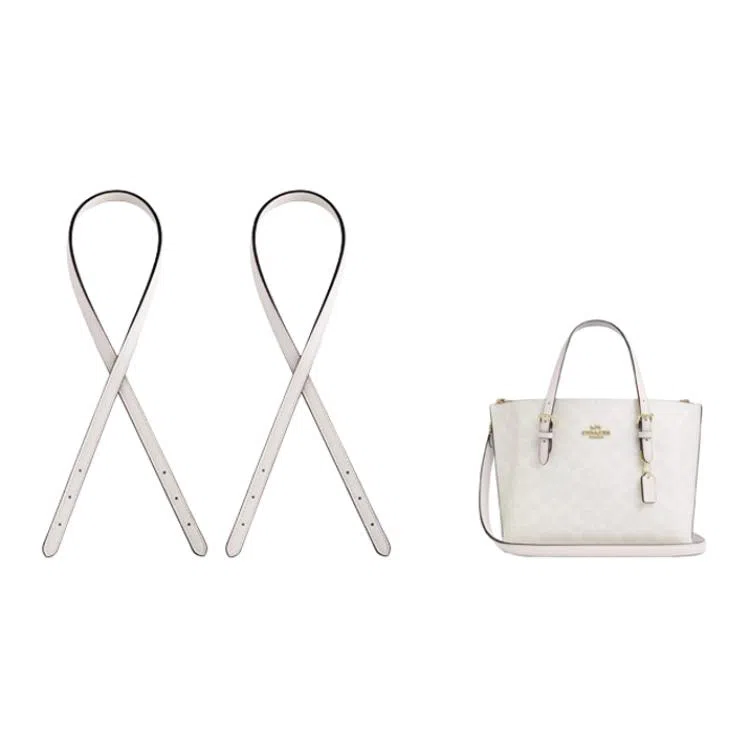 jingxi coachmollie25