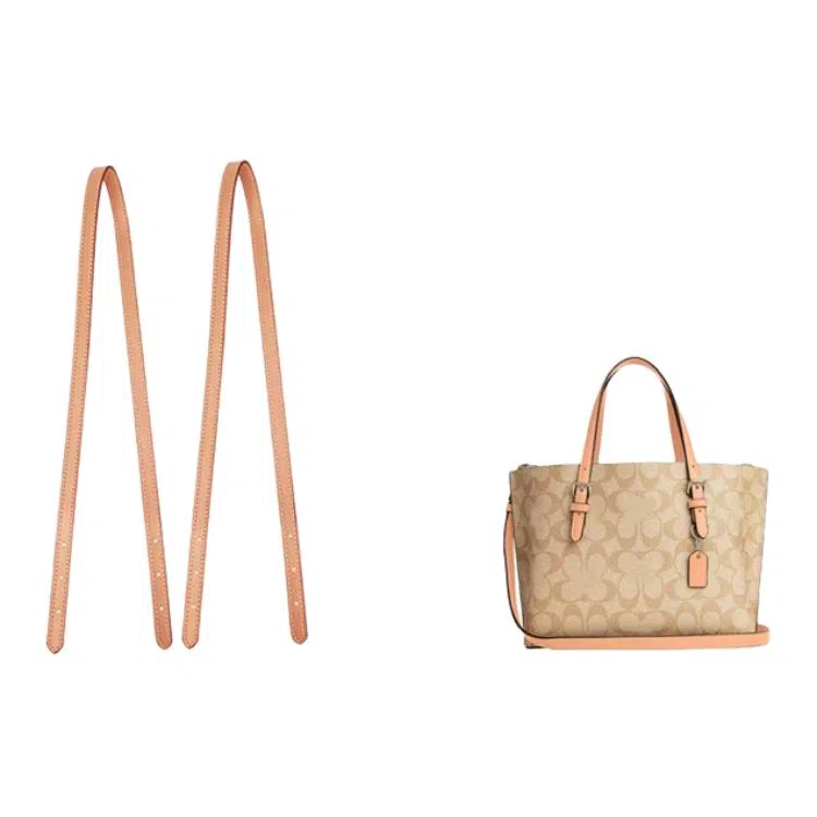 jingxi coachmollie25