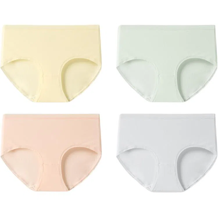 健将 纯棉三角透气中腰夏季内裤 女款