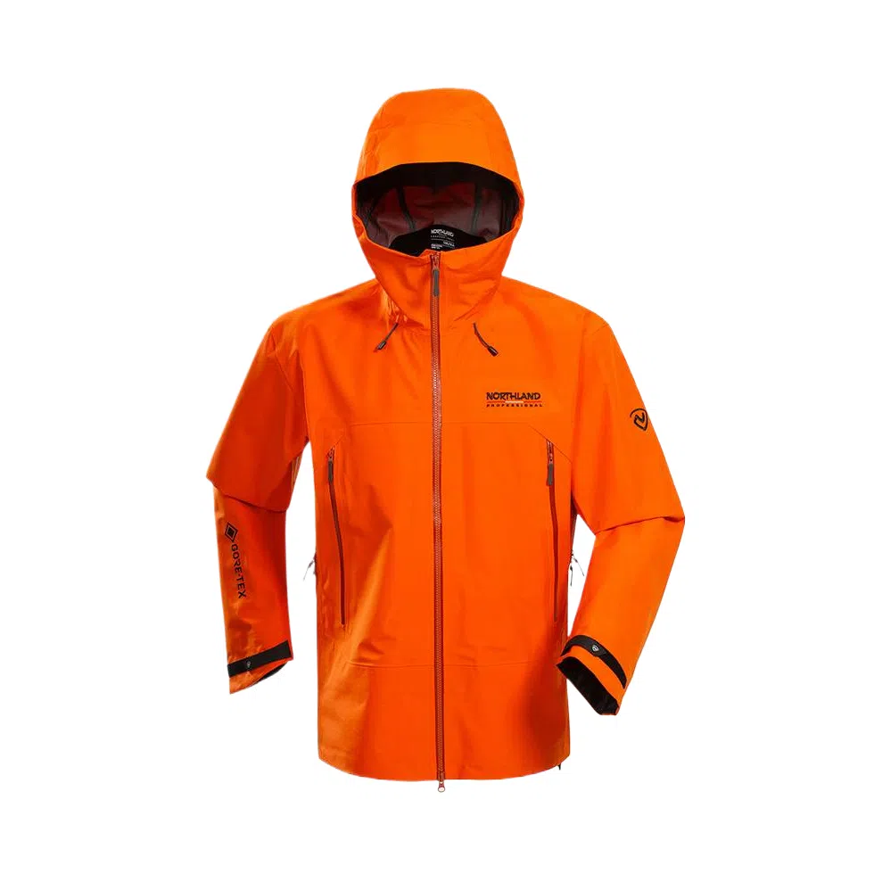 NORTHLAND PROFESSIONAL