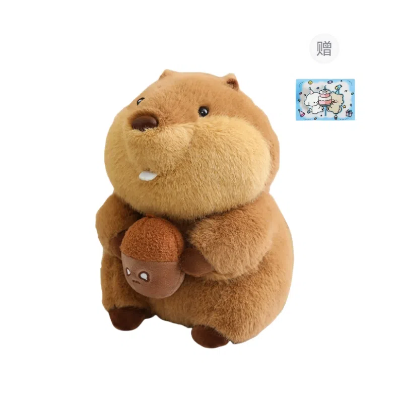 22cm30cm