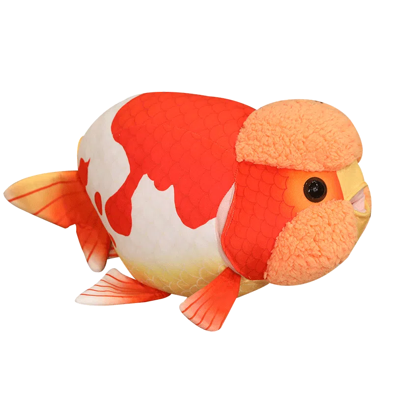 50cm
