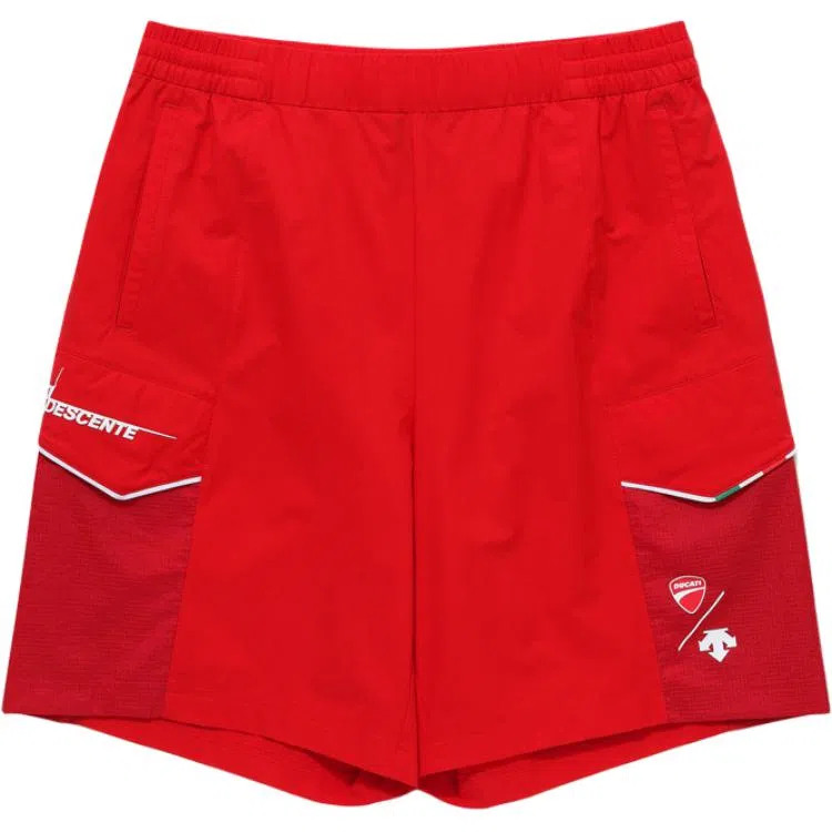 DESCENTE SPORTWEAR Logo