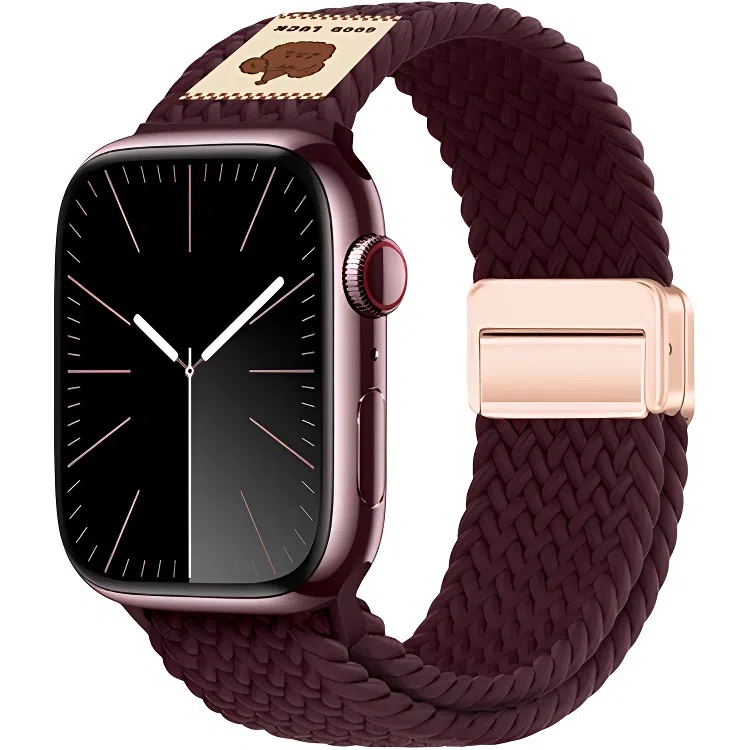 s10applewatch9s8iWatch75se