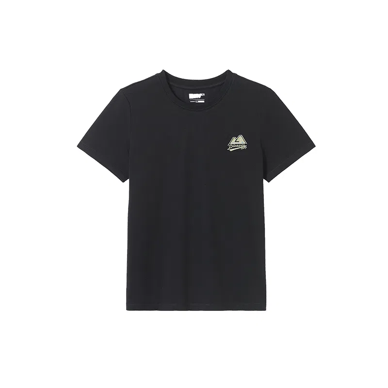 PIONEER CAMP T