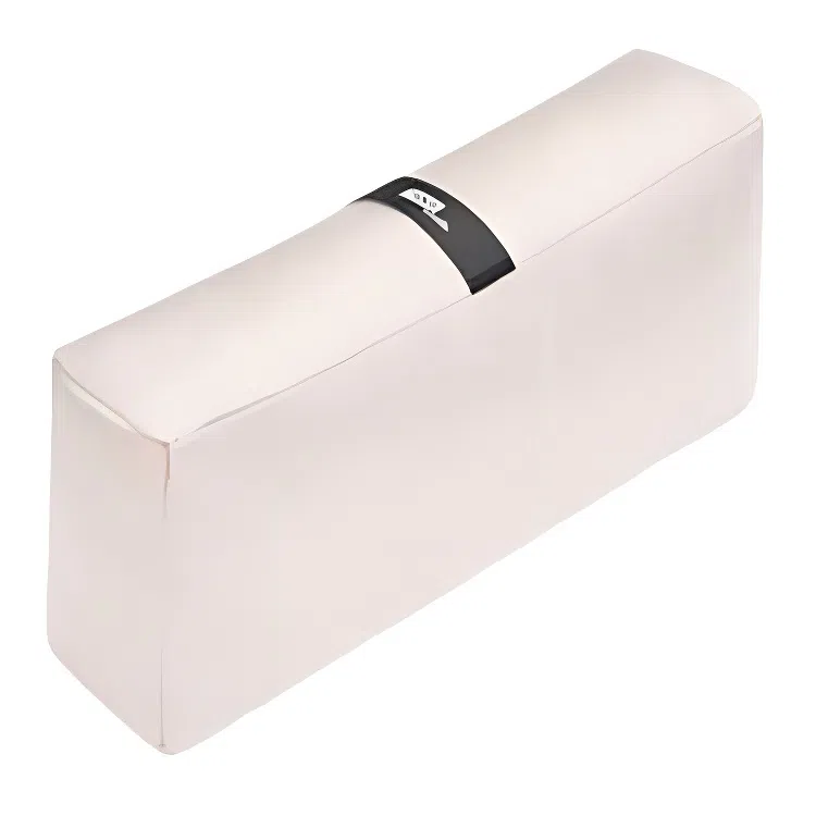 FANJI Chanel2.55mini
