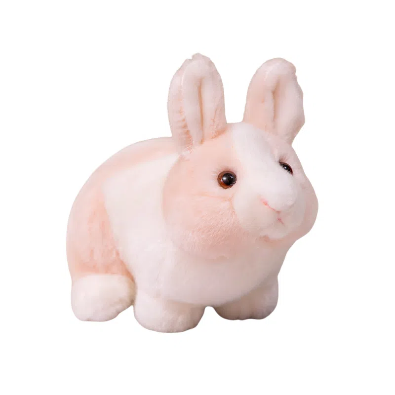28cm