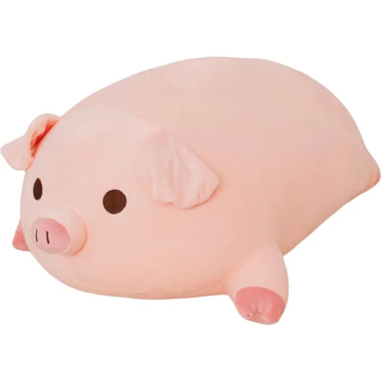 40cm50cm60cm80cm100cm