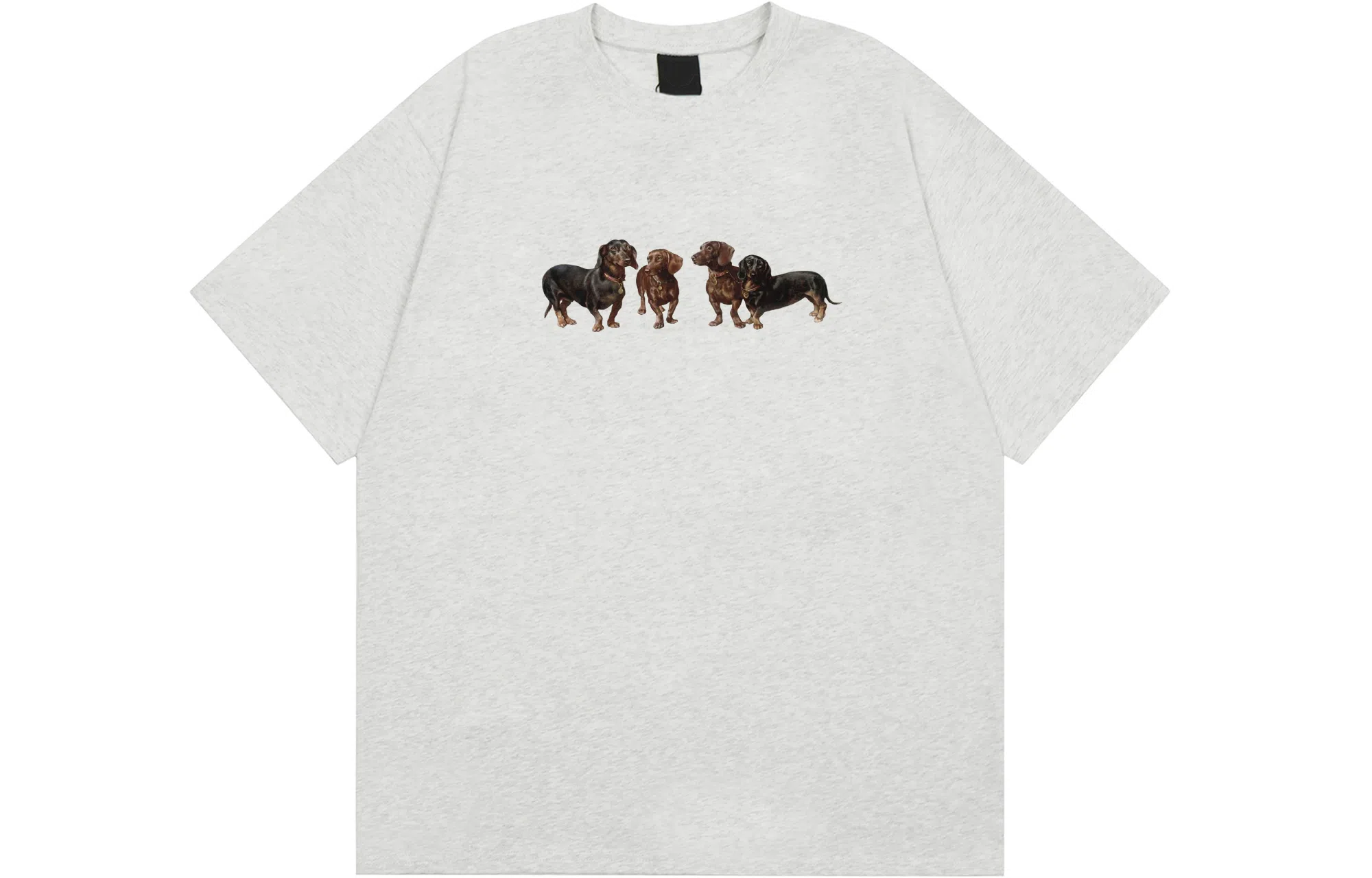 FOASIS T