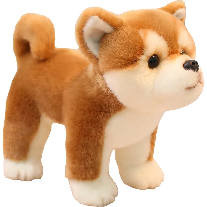25cm35cm