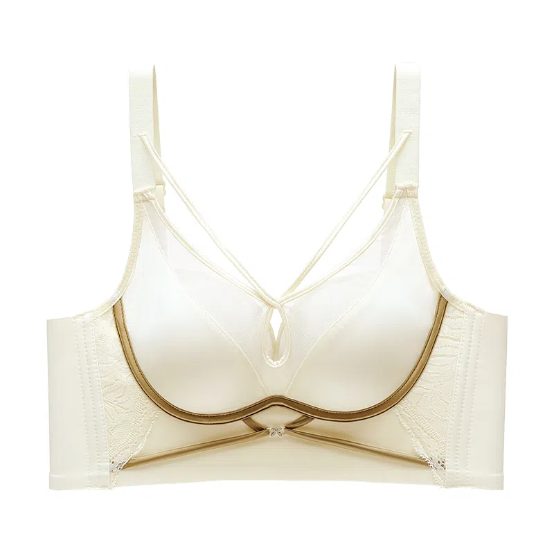 二三二三 速干吸汗清爽美背排湿柔软亲肤抗菌舒适纯色百搭聚拢文胸 女款