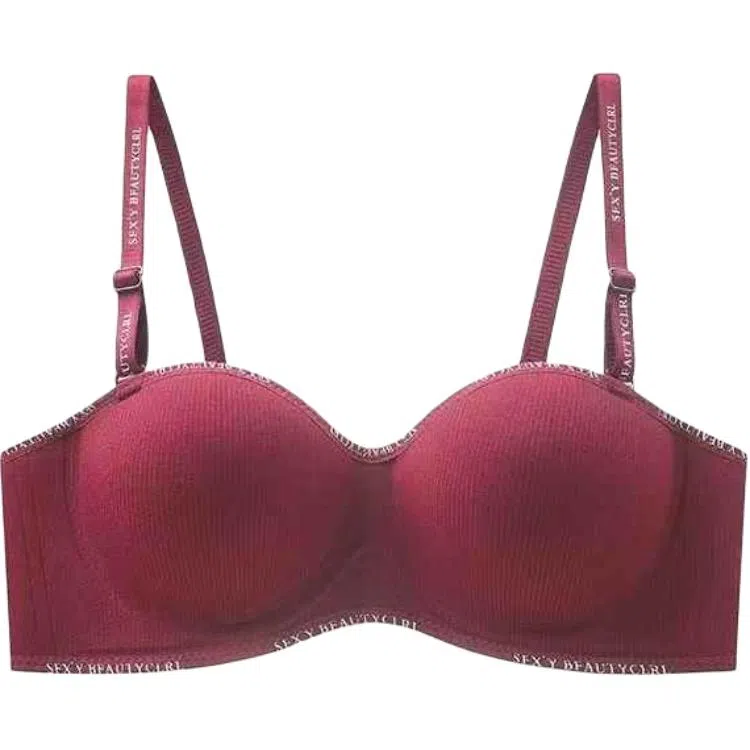 黛尔佳人 无痕内衣女大胸显小胸聚拢夏季薄款防下垂软支撑胸罩文胸 女款