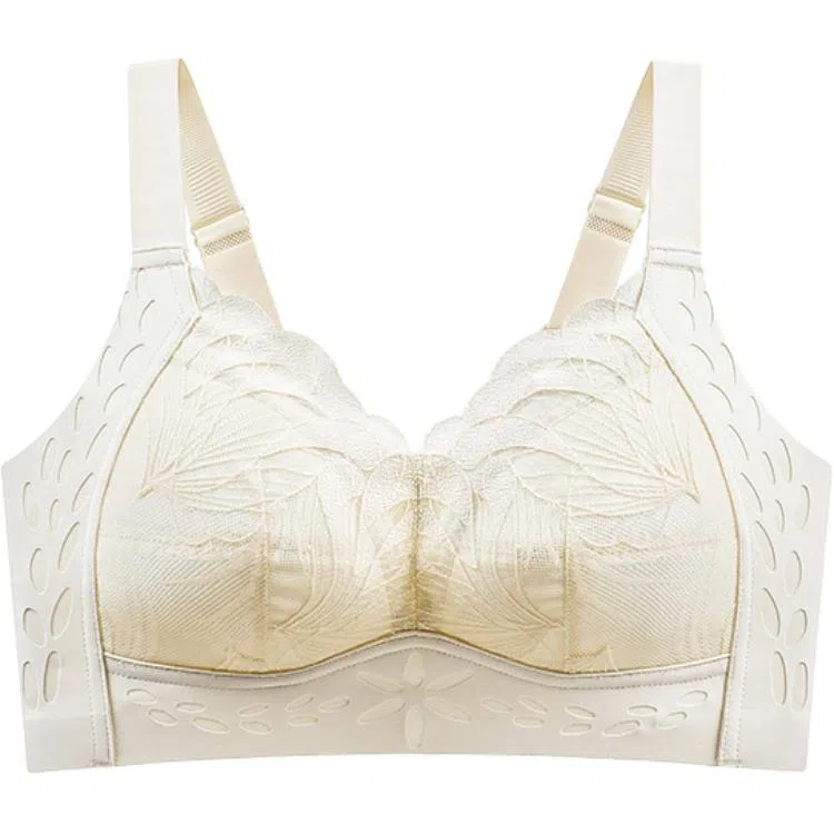 黛尔佳人 大胸显小聚拢超薄透气聚拢上托胸罩收副乳无痕蕾丝防下垂内衣文胸 女款
