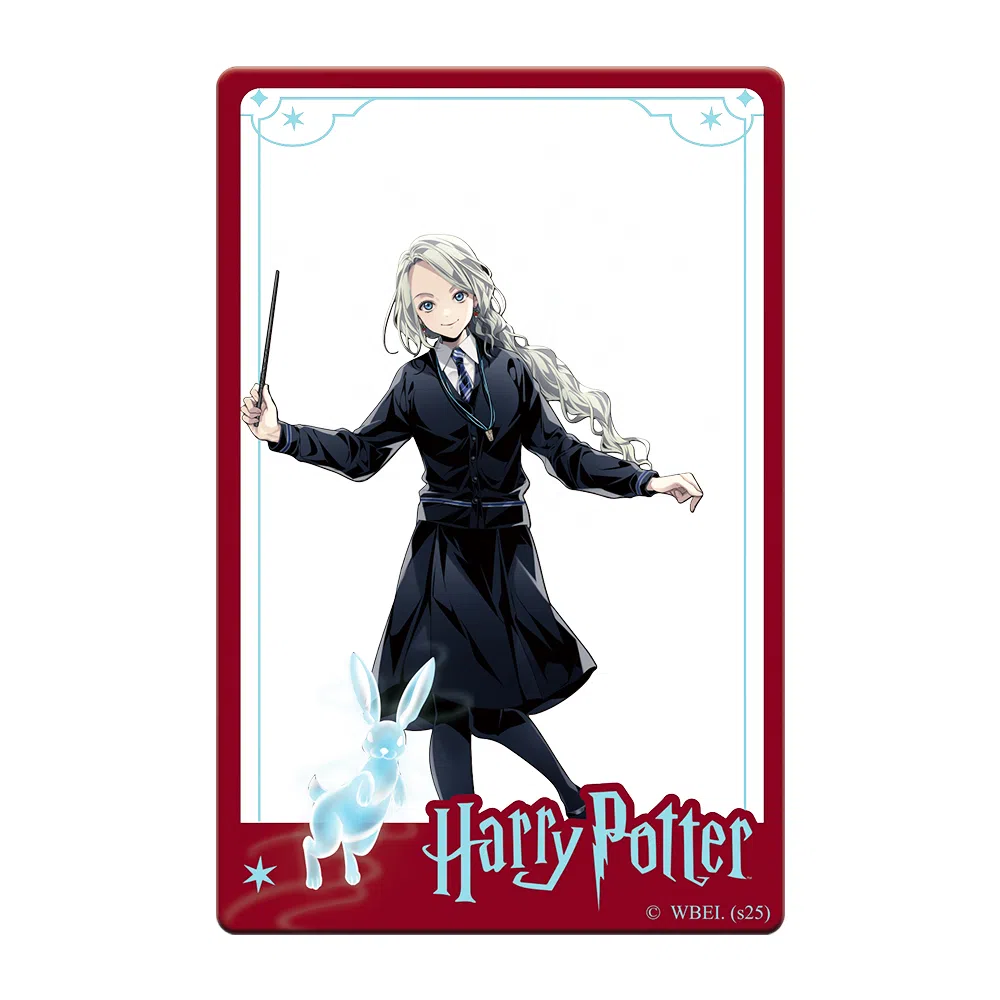 HARRY POTTER PVC