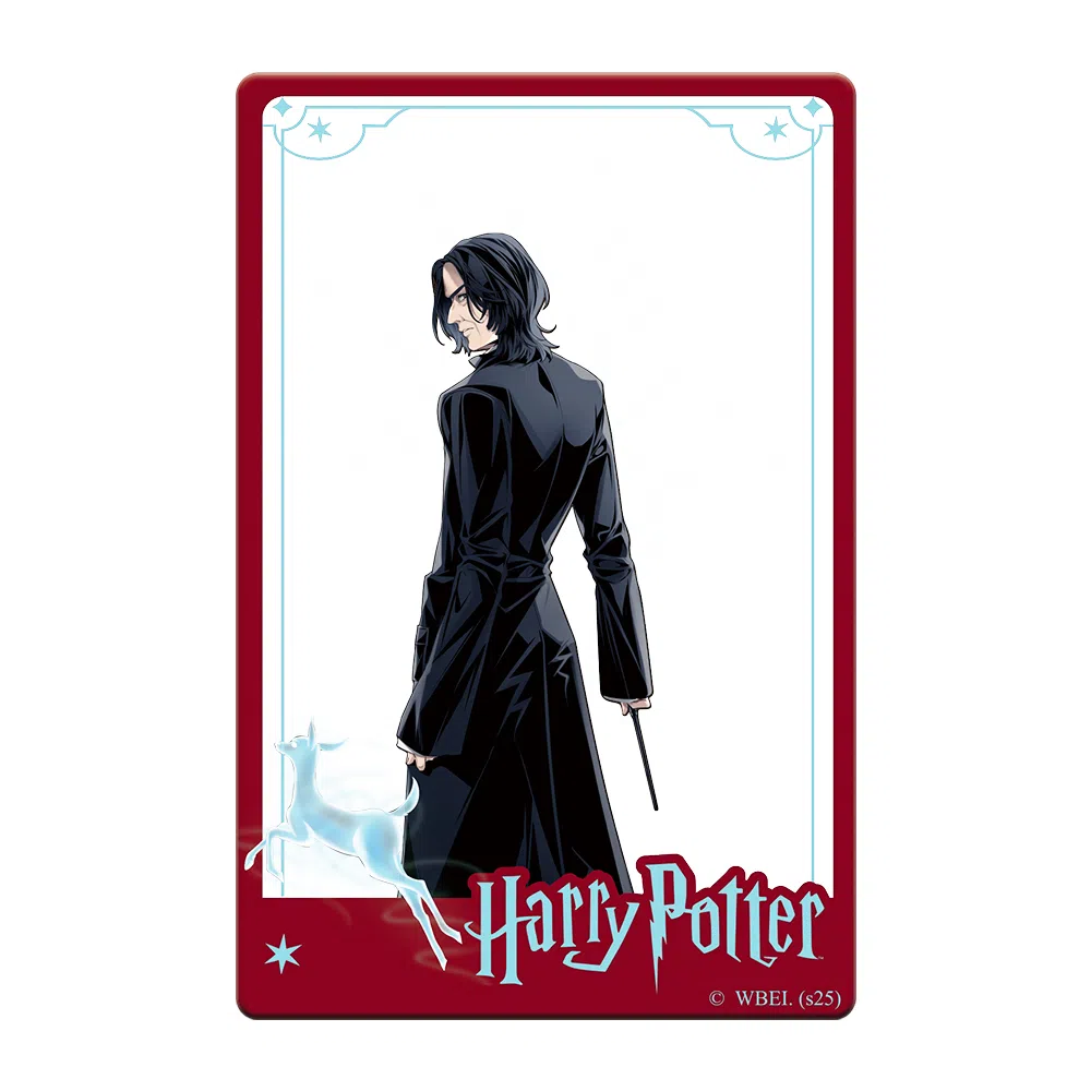 HARRY POTTER PVC