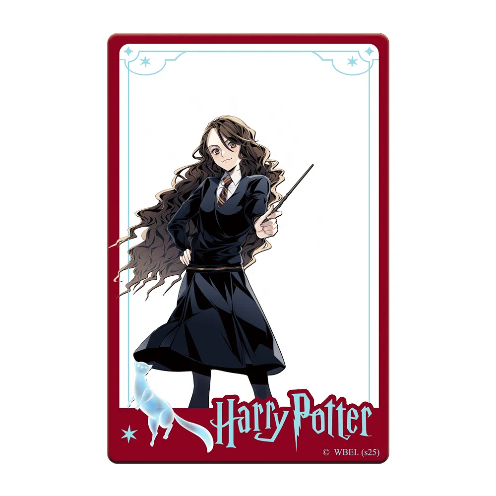 HARRY POTTER PVC