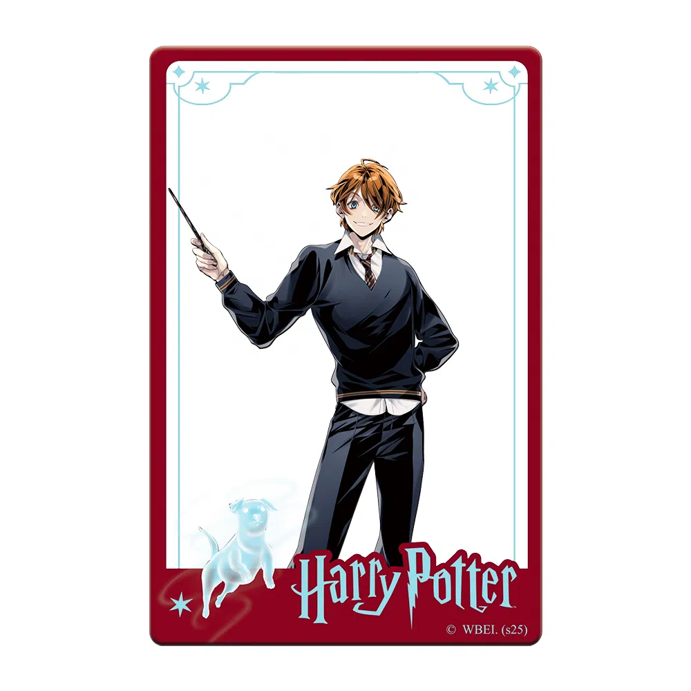 HARRY POTTER PVC