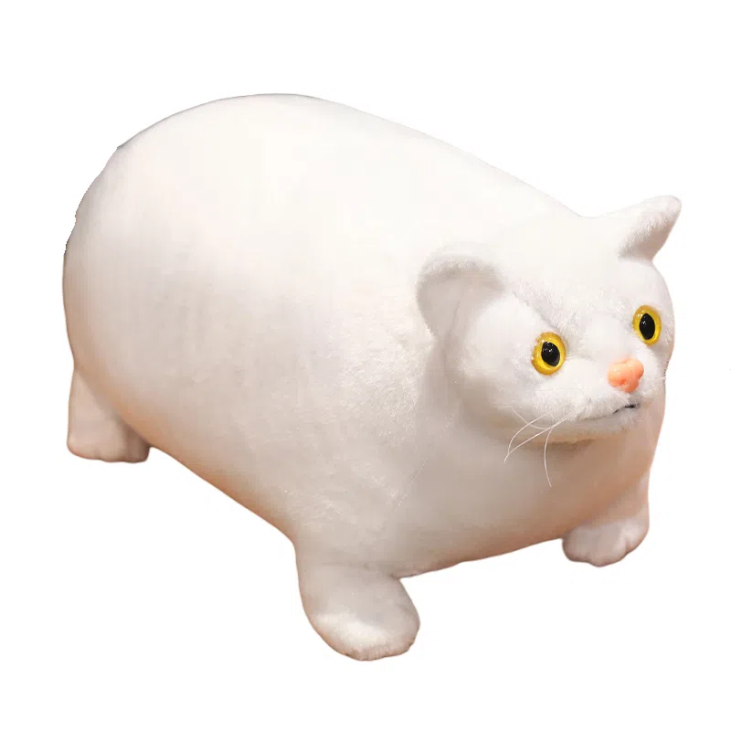 30cm50cm