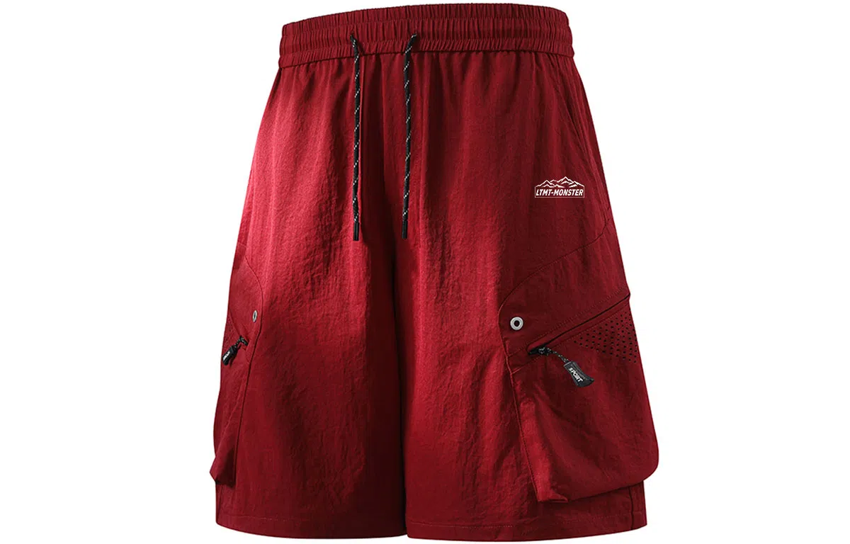 LIGHTNING MONSTER logo