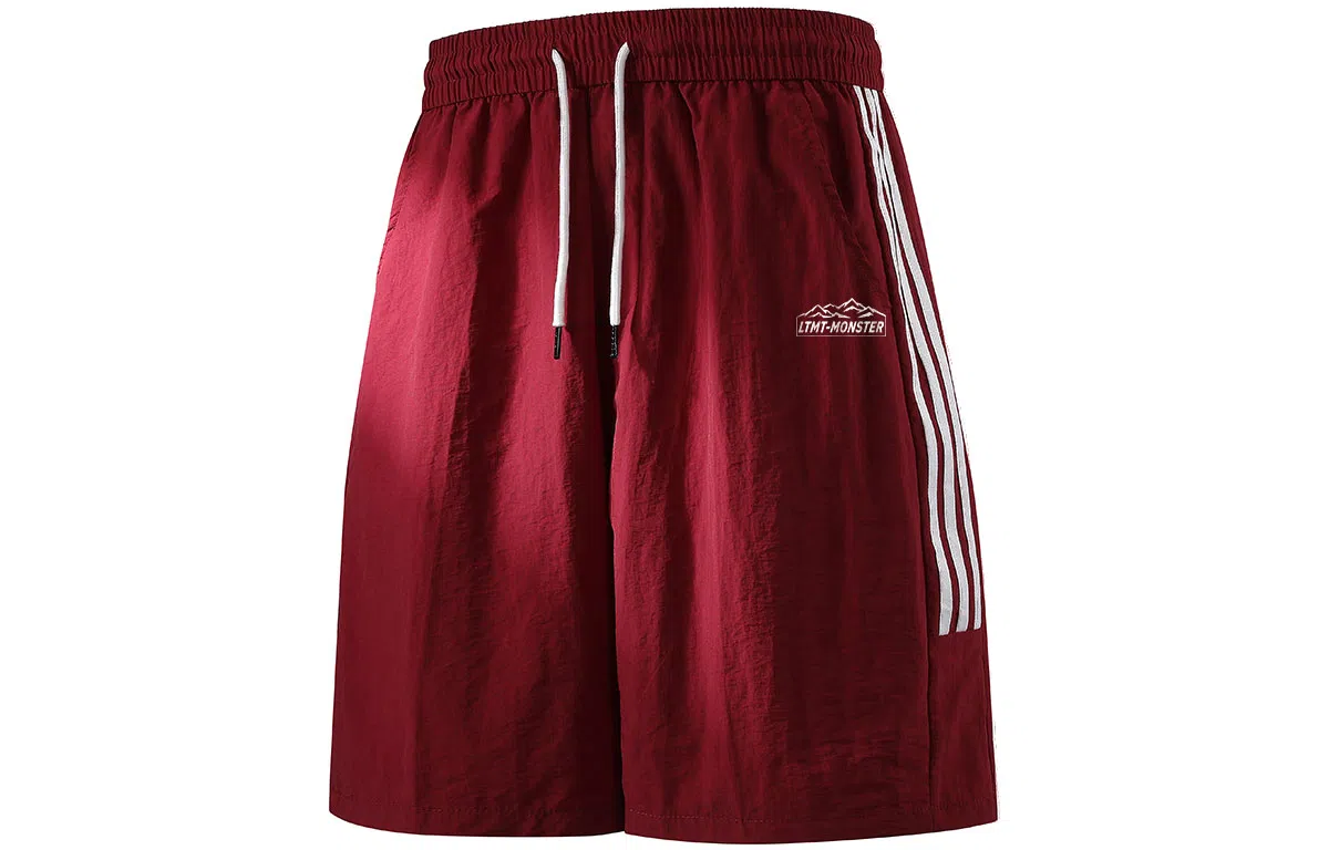 LIGHTNING MONSTER logo