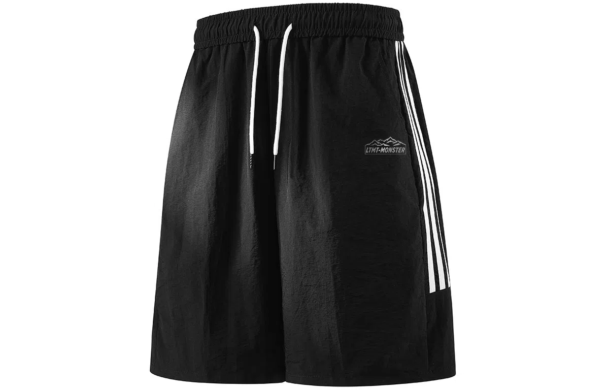 LIGHTNING MONSTER logo