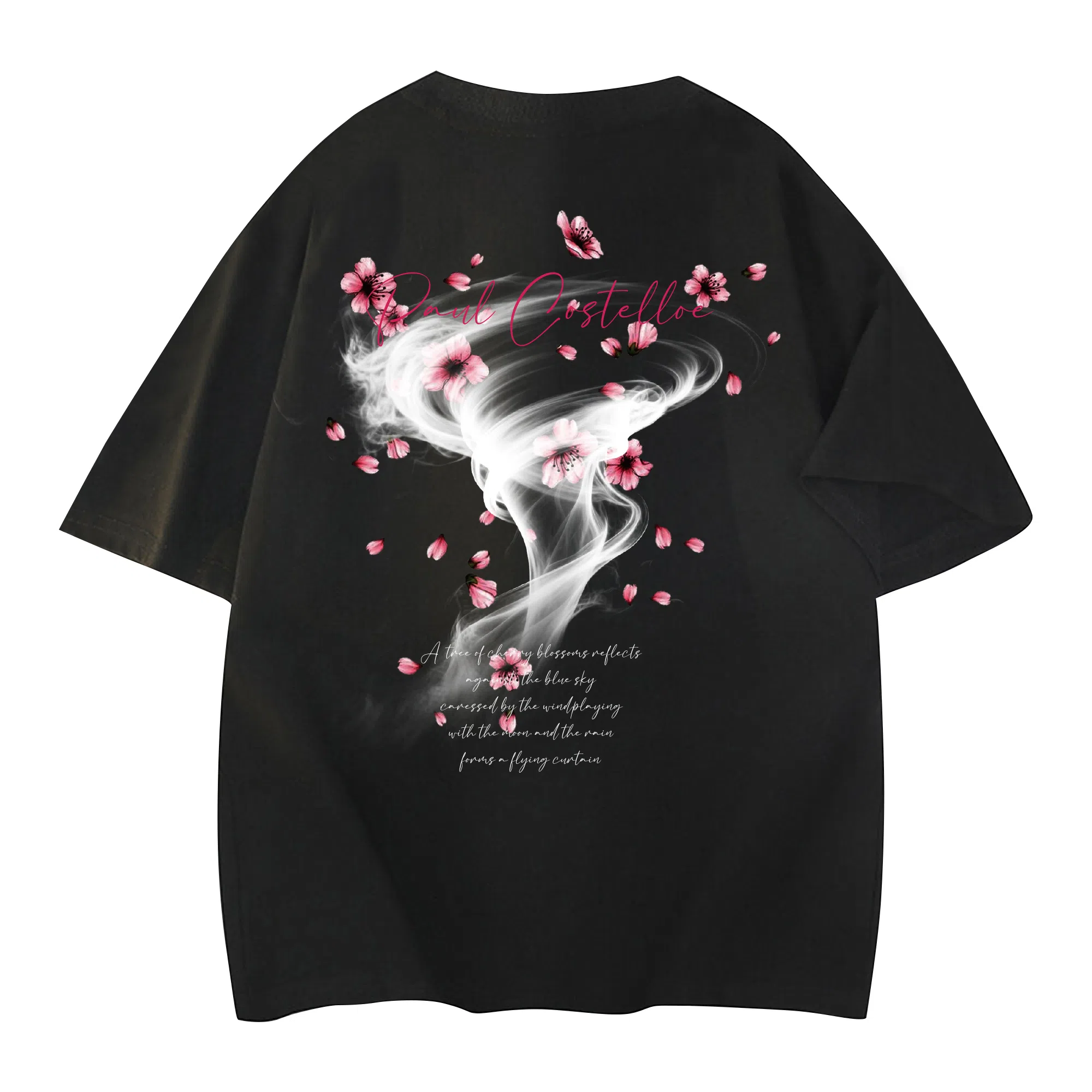 PAUL COSTELLOE logoT