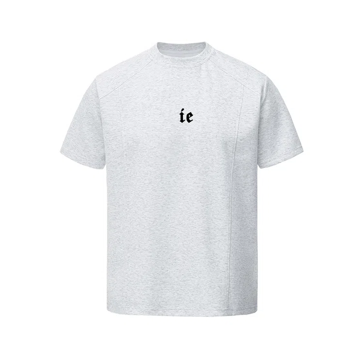 IE logoT