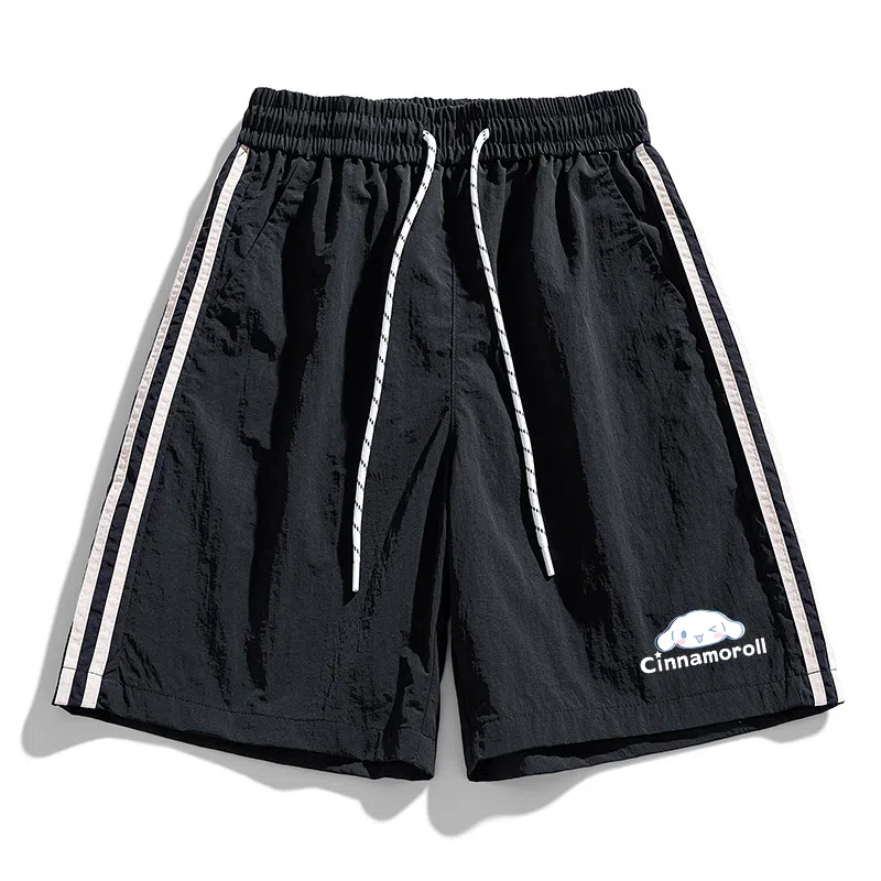 Sanrio x CINNAMOROLL