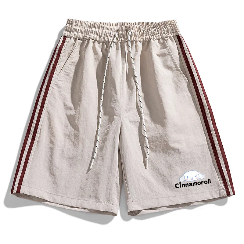 Sanrio x CINNAMOROLL