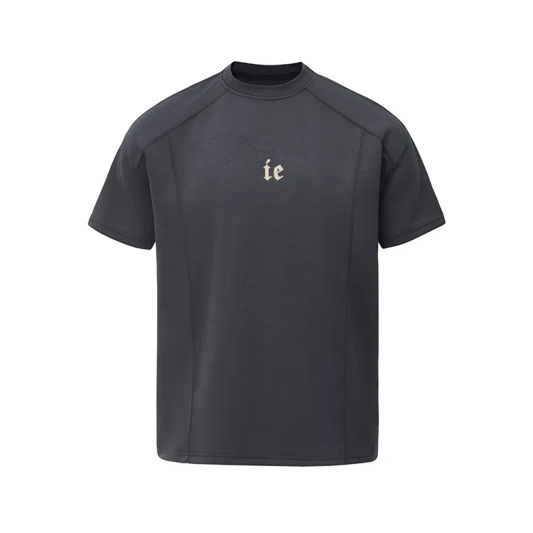 IE logoT