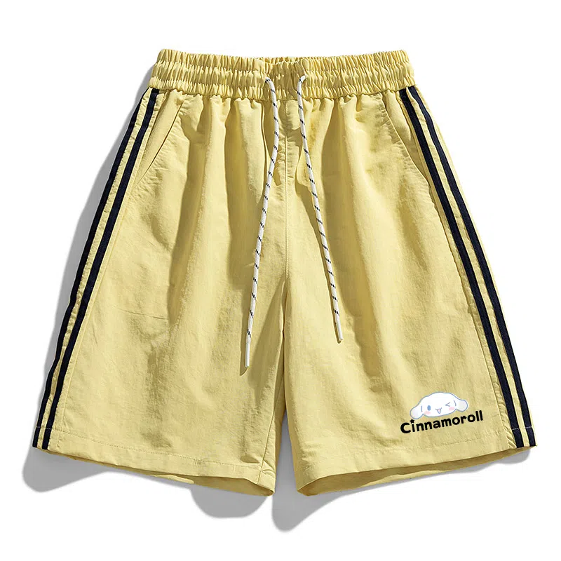 Sanrio x CINNAMOROLL