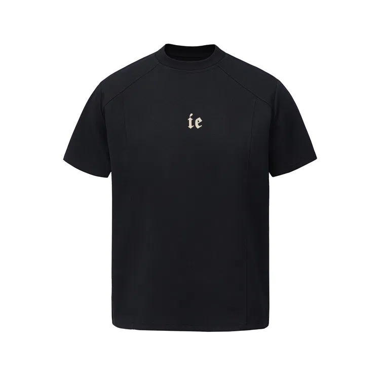 IE logoT