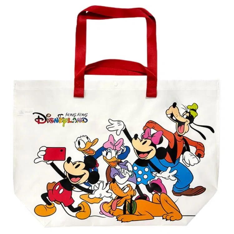 Disney Tote