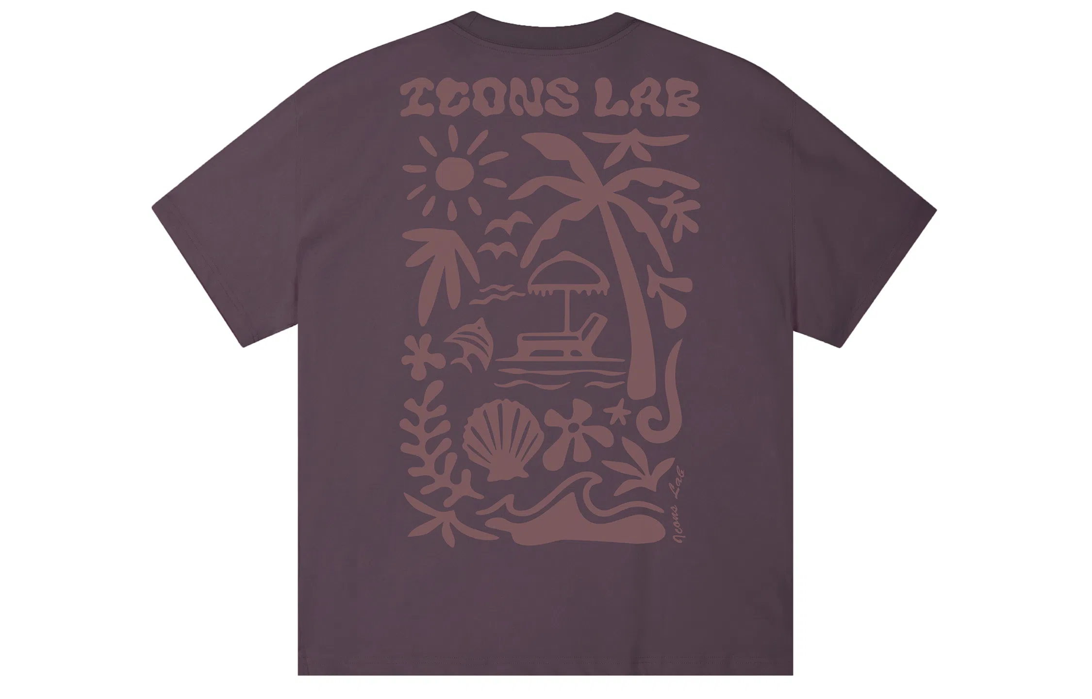 ICONS Lab ICS T