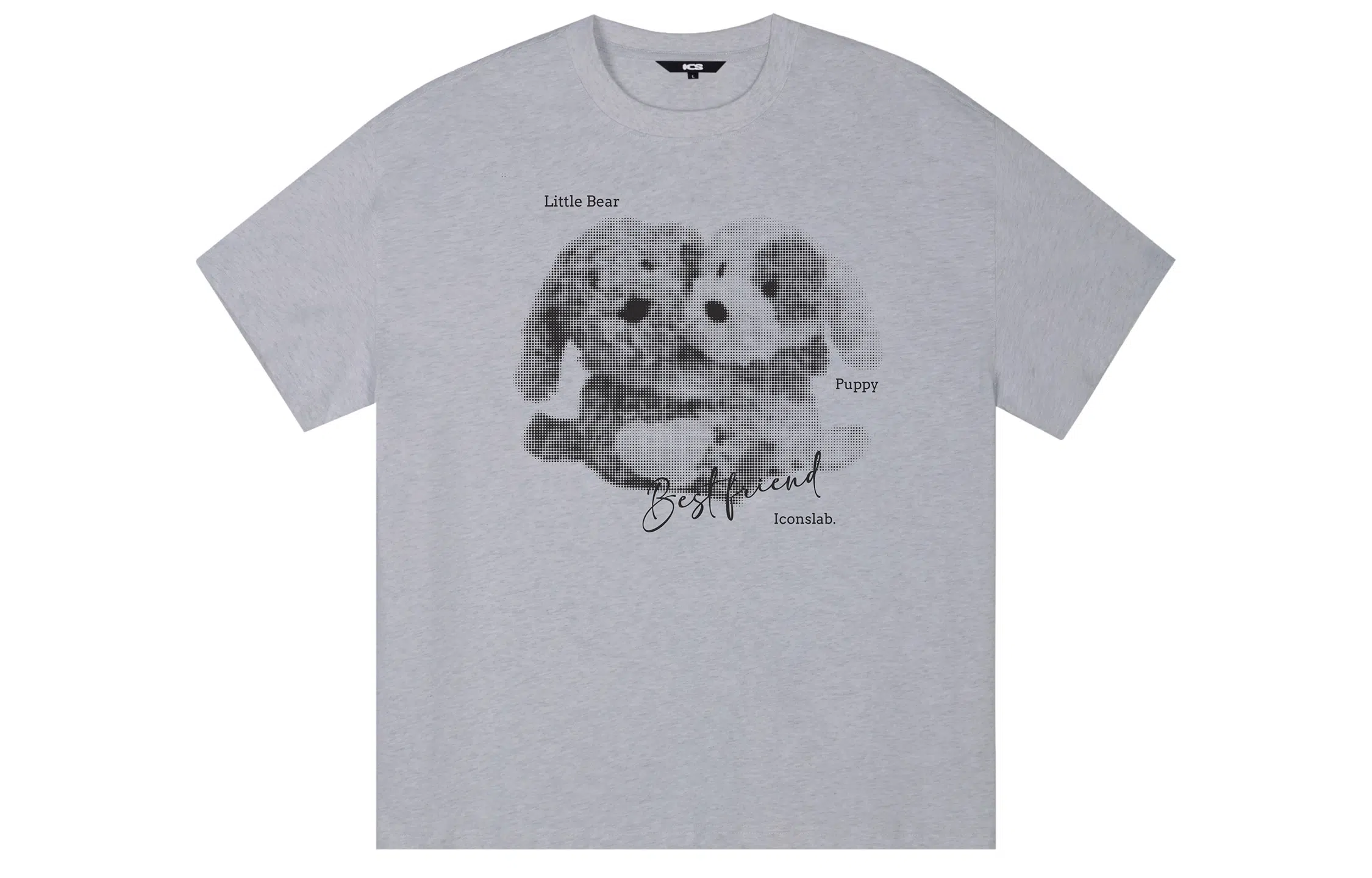 ICONS Lab ICS T