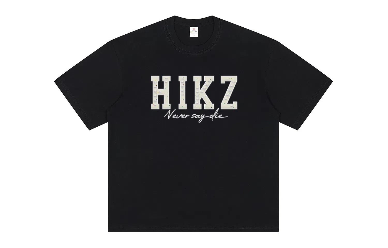 HIKZ logoT