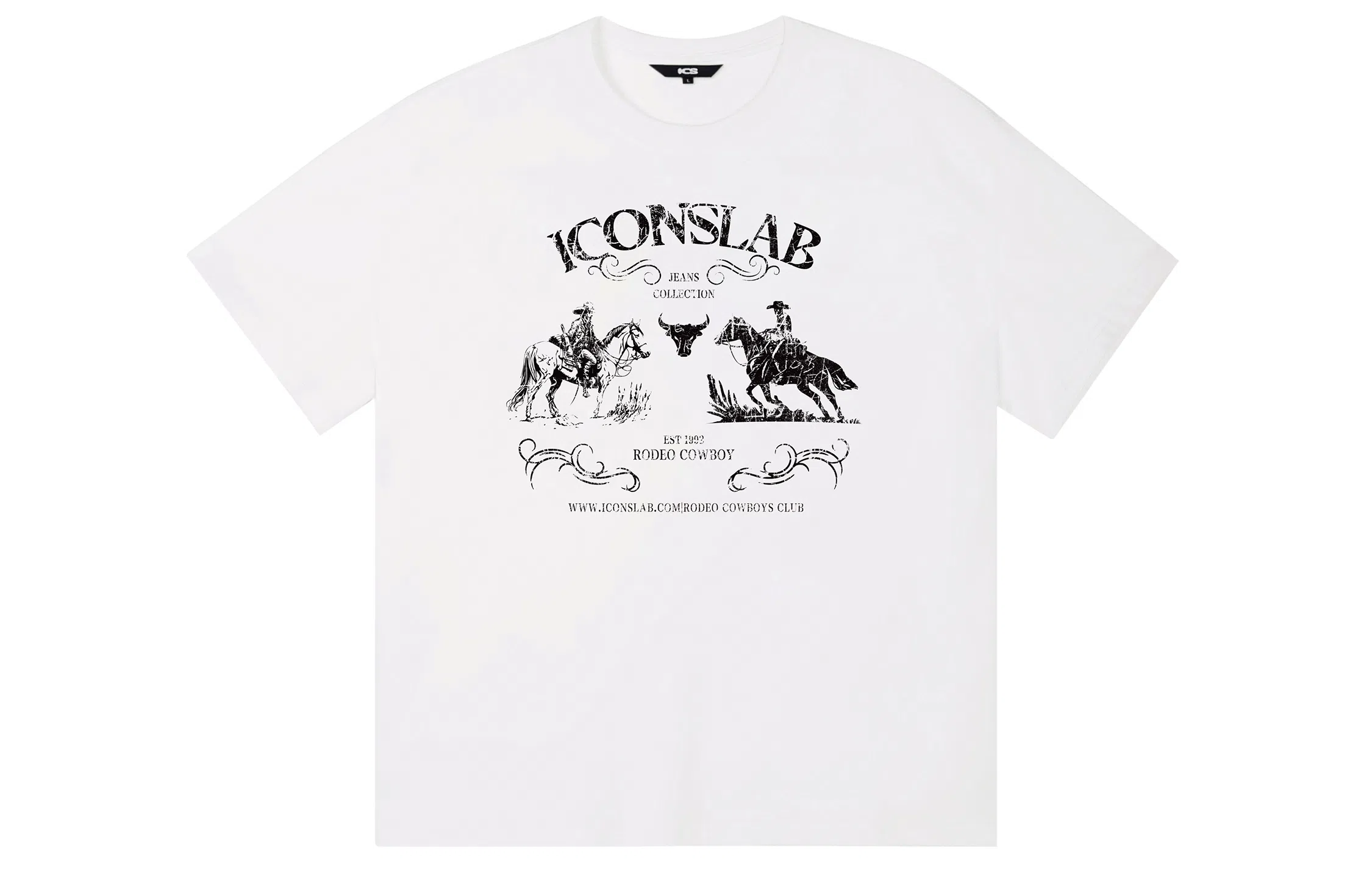 ICONS Lab ICS T